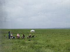 -呼伦贝尔大草原巴尔虎蒙古部落民俗旅游度假景区