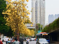 -晓港公园