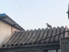 -锦尚阁烤鱼•天津菜(宣武门胡同店)