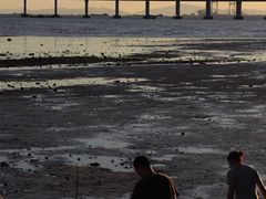 -宝安西湾红树林湿地公园