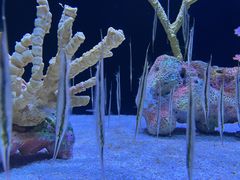 -上海海洋水族馆