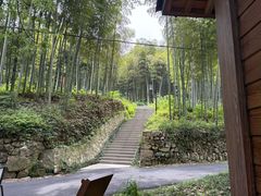 -东明山森林公园