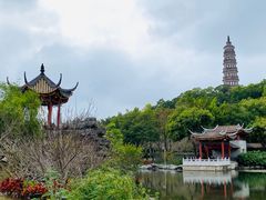 -顺峰山公园