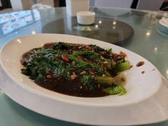 罗马生菜-金种子大酒店
