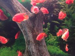 -常州海昌海洋探索馆