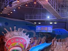 -烟台海昌鲸鲨海洋公园