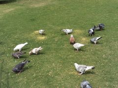 -白鹭洲公园