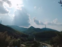 -宁波浙东大竹海景区