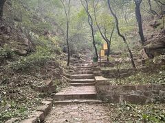 -老象峰