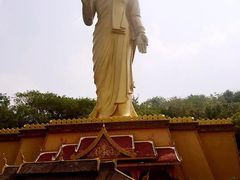 -西双版纳原始森林公园