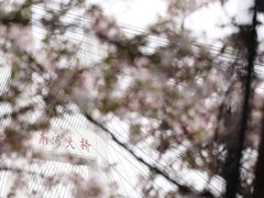 -南浦大桥长途旅游客运站