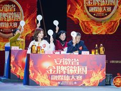 -安徽广播电视台