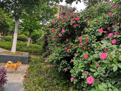 -荣昌花园