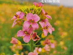 -沣峪口