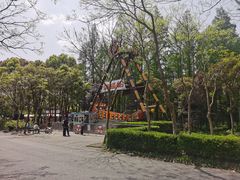 -上海滨江森林公园
