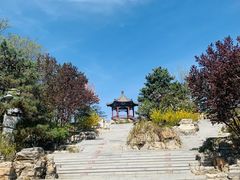 -大兴滨河森林公园