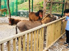 -西部长青自然儿童乐园