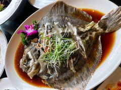 清蒸多宝鱼-利顺德大饭店·水岸中餐厅(小白楼店)