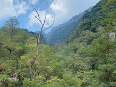 -泰山风景名胜区