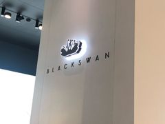 -BLACKSWAN黑天鹅(环球店)