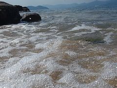 -杨梅坑