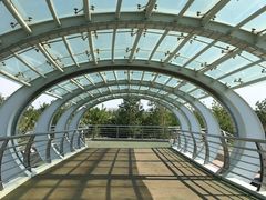 -克拉玛依河景区-九龙潭