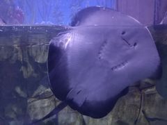 -临沂极地海洋王国