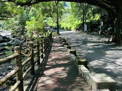 -广州市石门国家森林公园