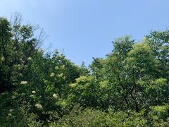 -阳台山自然风景区