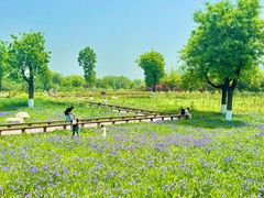 -汉长安城未央宫国家考古遗址公园