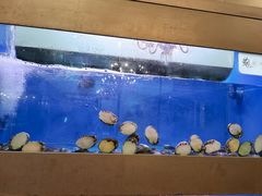 -东门烤鸭店(鼓楼店)