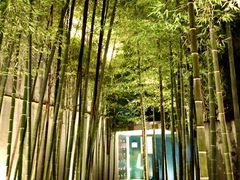 门面-穹六人间 people 6(岳阳路店)