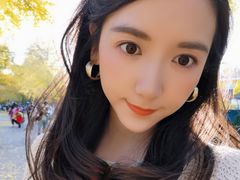 -三里屯东五街银杏大道