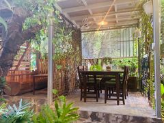 -Rainforest