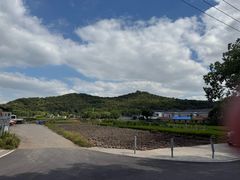 -上海佘山国家森林公园天马山园