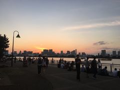-台场海滨公园船码头