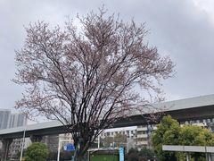 -凯德广场(西城店)