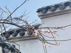 -无锡梅园公园
