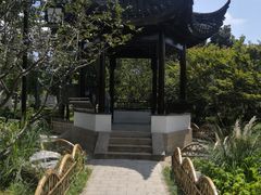 -枫桥景区