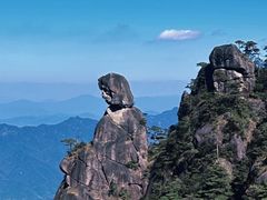 -万达广场(泰安泰山店)