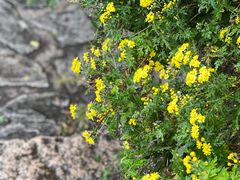 -香山公园