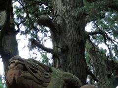 -七曲山风景区