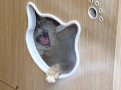 -青藏高原野生动物园