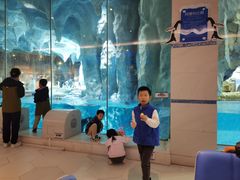 -帝企鹅自助餐厅•儿童岛•真企鹅(长隆企鹅酒店)