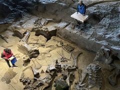 -自贡恐龙博物馆