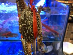 -圣丰索菲特·2 On 988 Café 自助餐厅