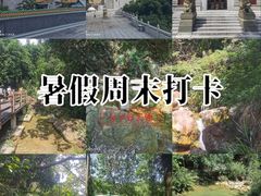 -南海湾森林生态园