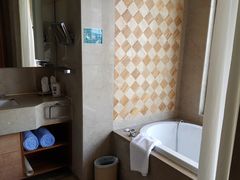 -三亚湾红树林度假世界(木棉酒店)