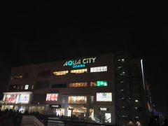 -台场海滨公园船码头
