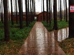 -黄海国家森林公园